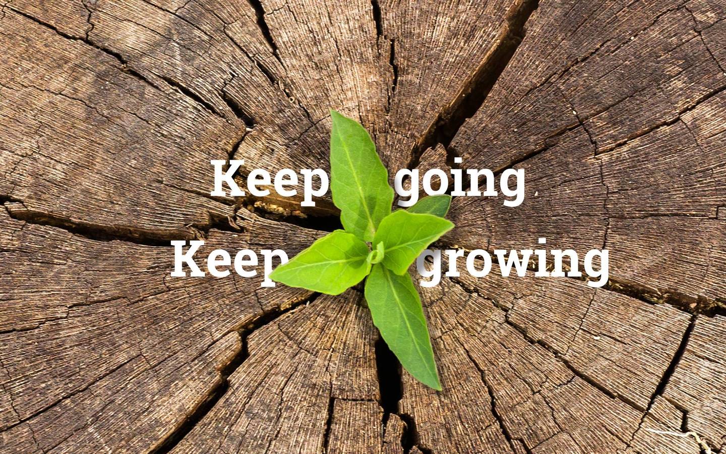 Unser Motto: Keep going - always!